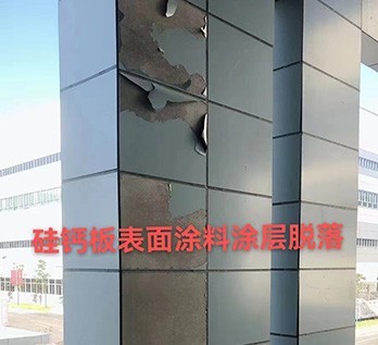 国产麻豆放荡AV剧情演绎